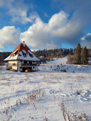 Apartmani ZELENI MEDA